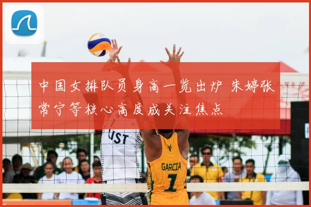 中国女排队员身高一览出炉 朱婷张常宁等核心高度成关注焦点
