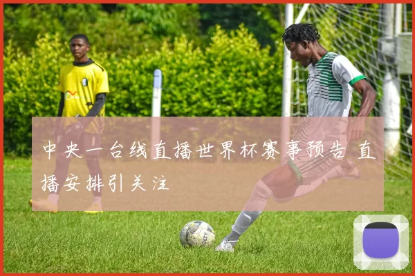 中央一台线直播世界杯赛事预告 直播安排引关注
