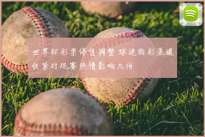 世界杯彩票停售调整 球迷购彩渠道收紧对观赛热情影响几何