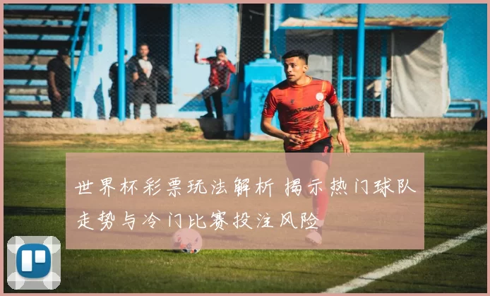世界杯彩票玩法解析 揭示热门球队走势与冷门比赛投注风险