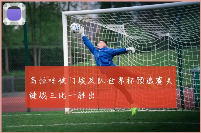 乌拉哇破门埃及队世界杯预选赛关键战三比一胜出