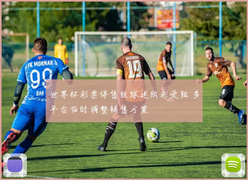 世界杯彩票停售致球迷购彩受阻 多平台临时调整销售方案
