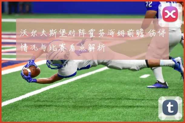 沃尔夫斯堡对阵霍芬海姆前瞻 伤停情况与比赛看点解析
